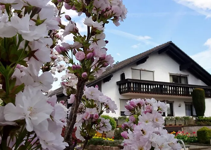 Gaestehaus Braun * Bad Konig